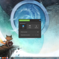 Captures et enregistrements d'écran sur Linux Mint Cinnamon !